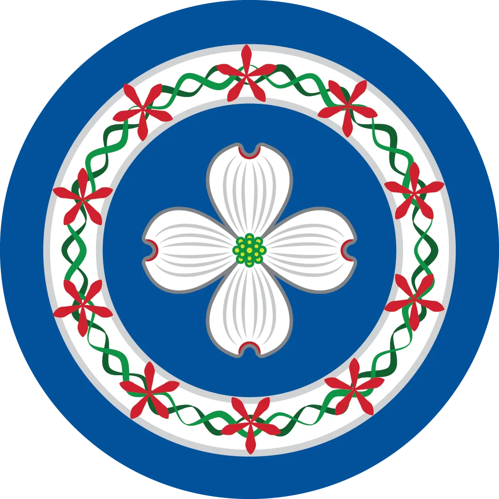 Aircraft insignia of Outer Banks
